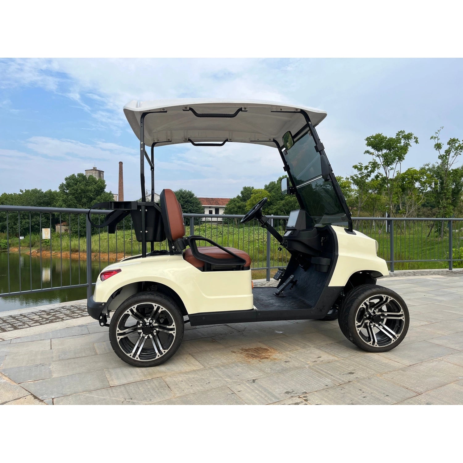2-Seater Electric Golf Cart