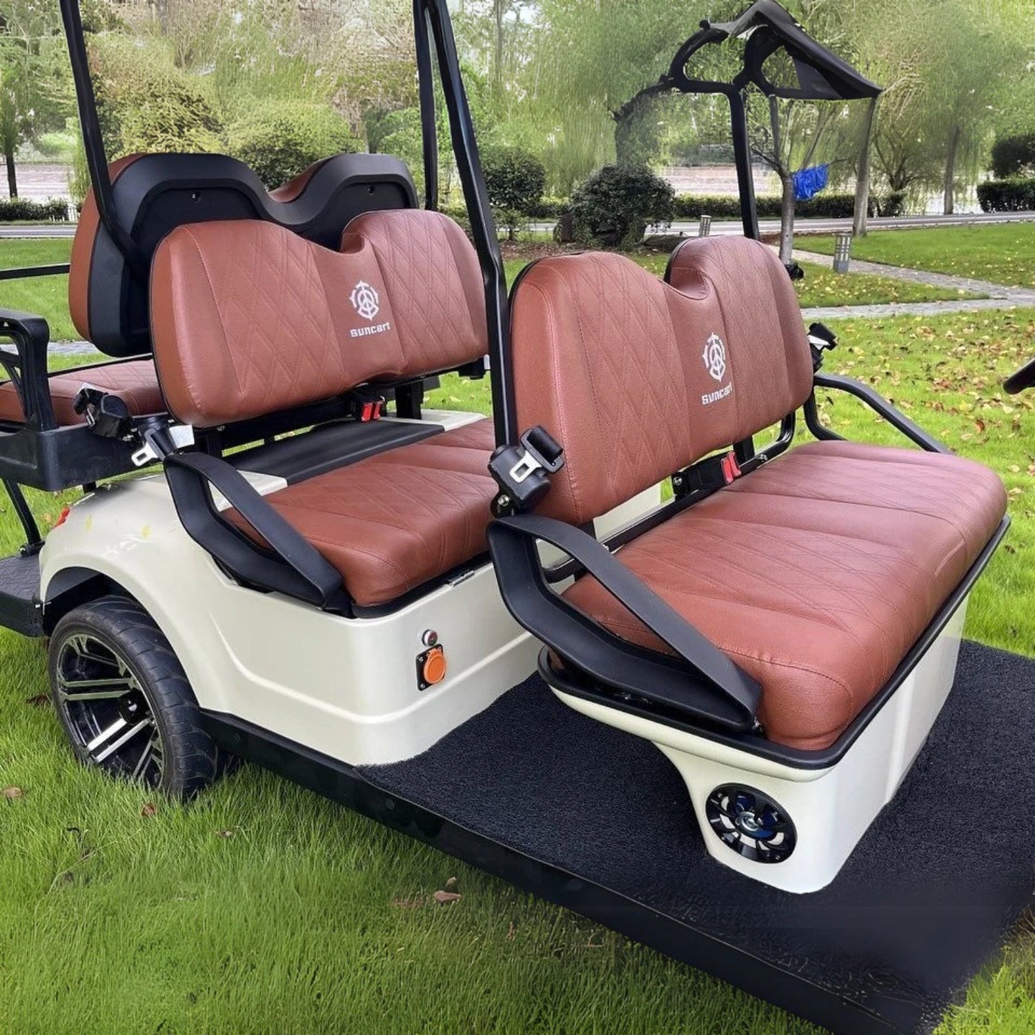 4+2 Golf Cart TXV