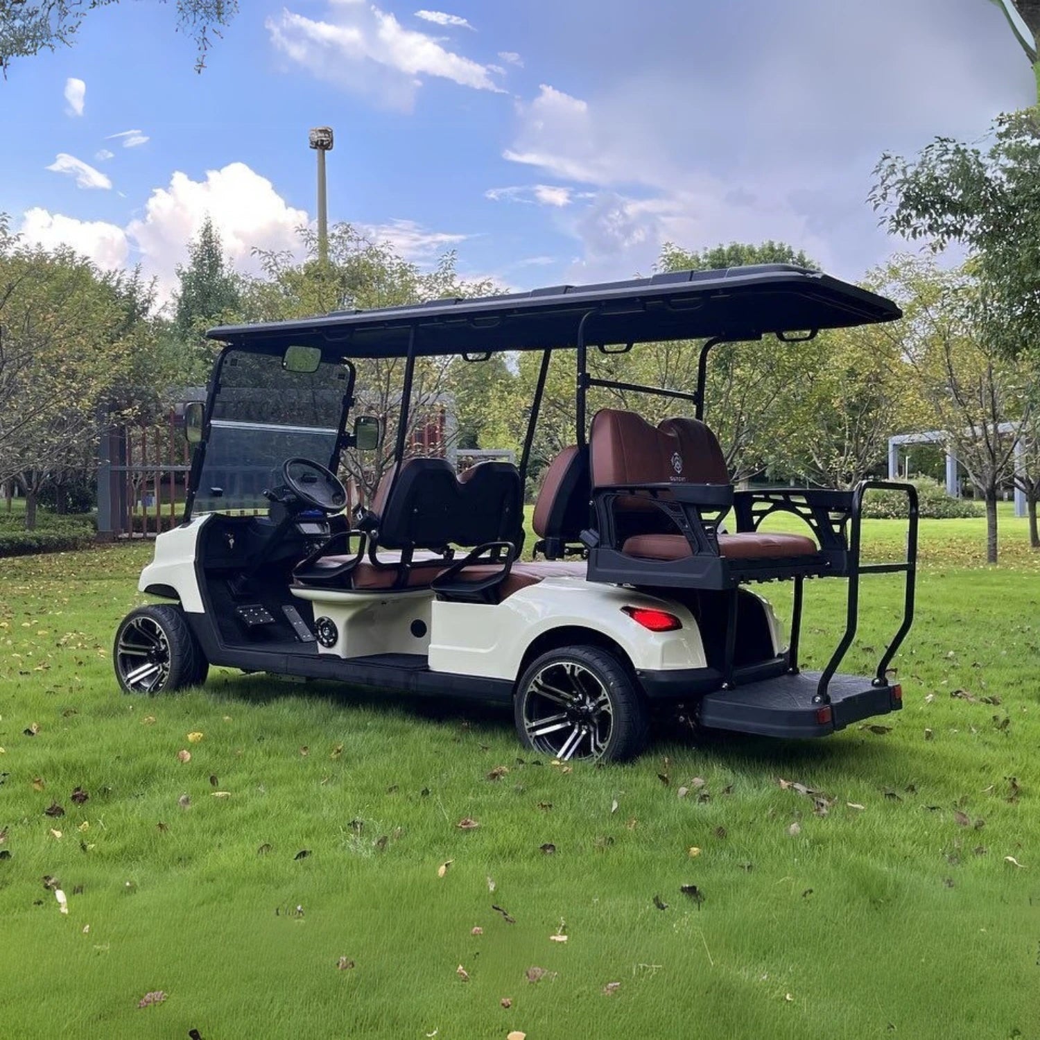 4+2 Golf Cart TXV