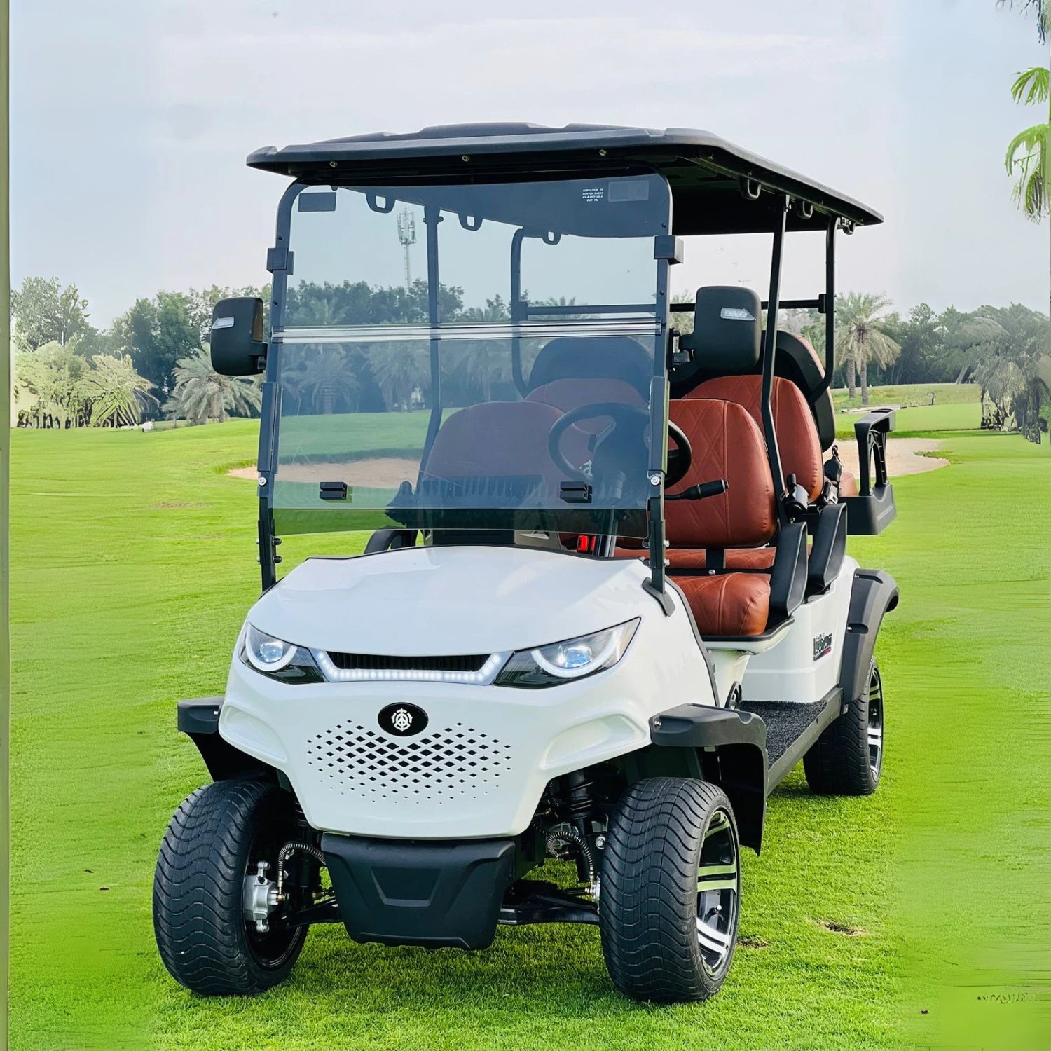 4+2 Golf Cart MXV