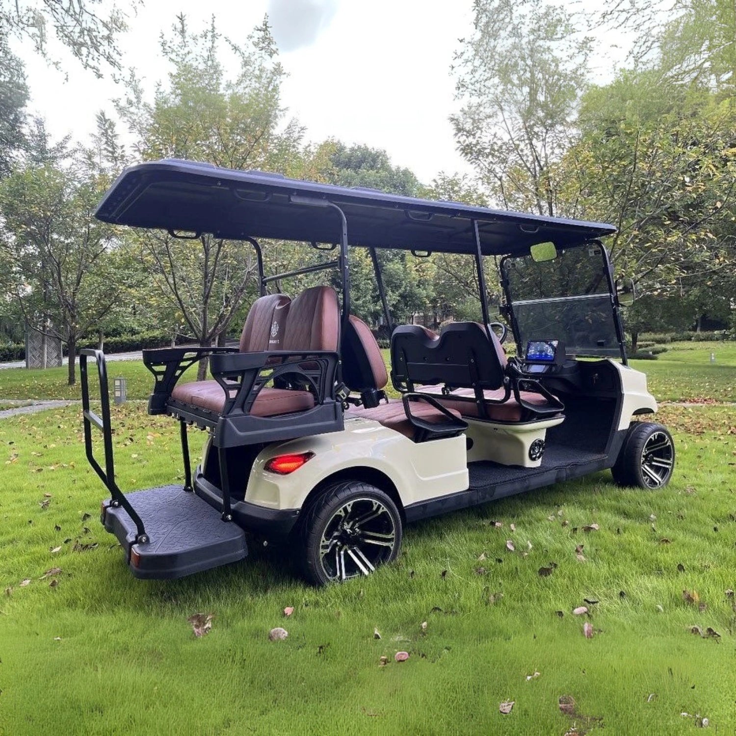 4+2 Golf Cart TXV