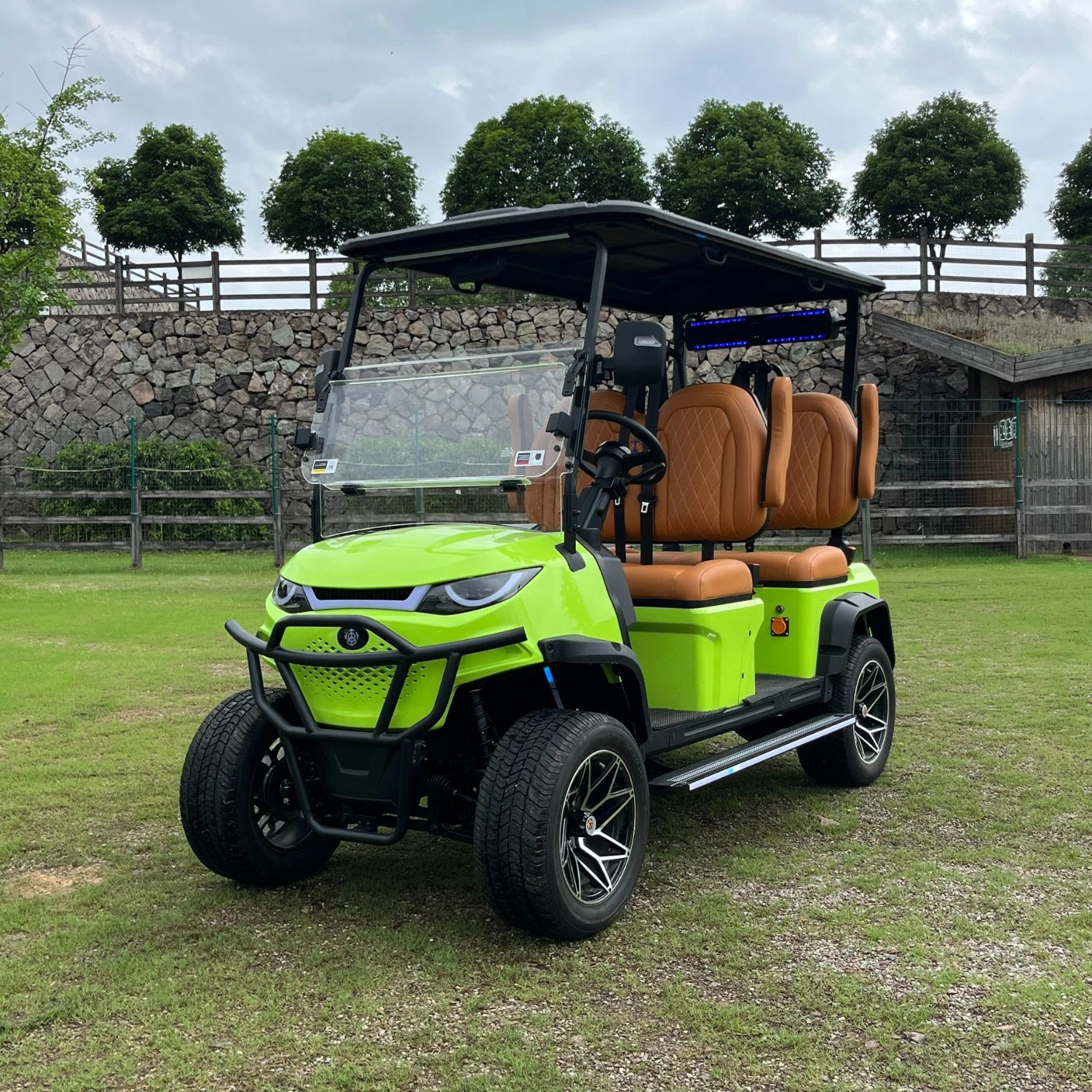 4-Seater Golf Cart limited Edition 2026