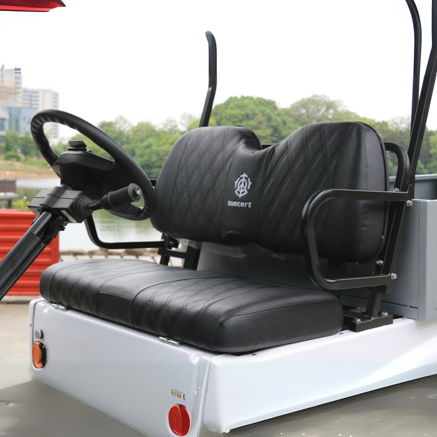 2-Seater Golf Cart with Cargo Box