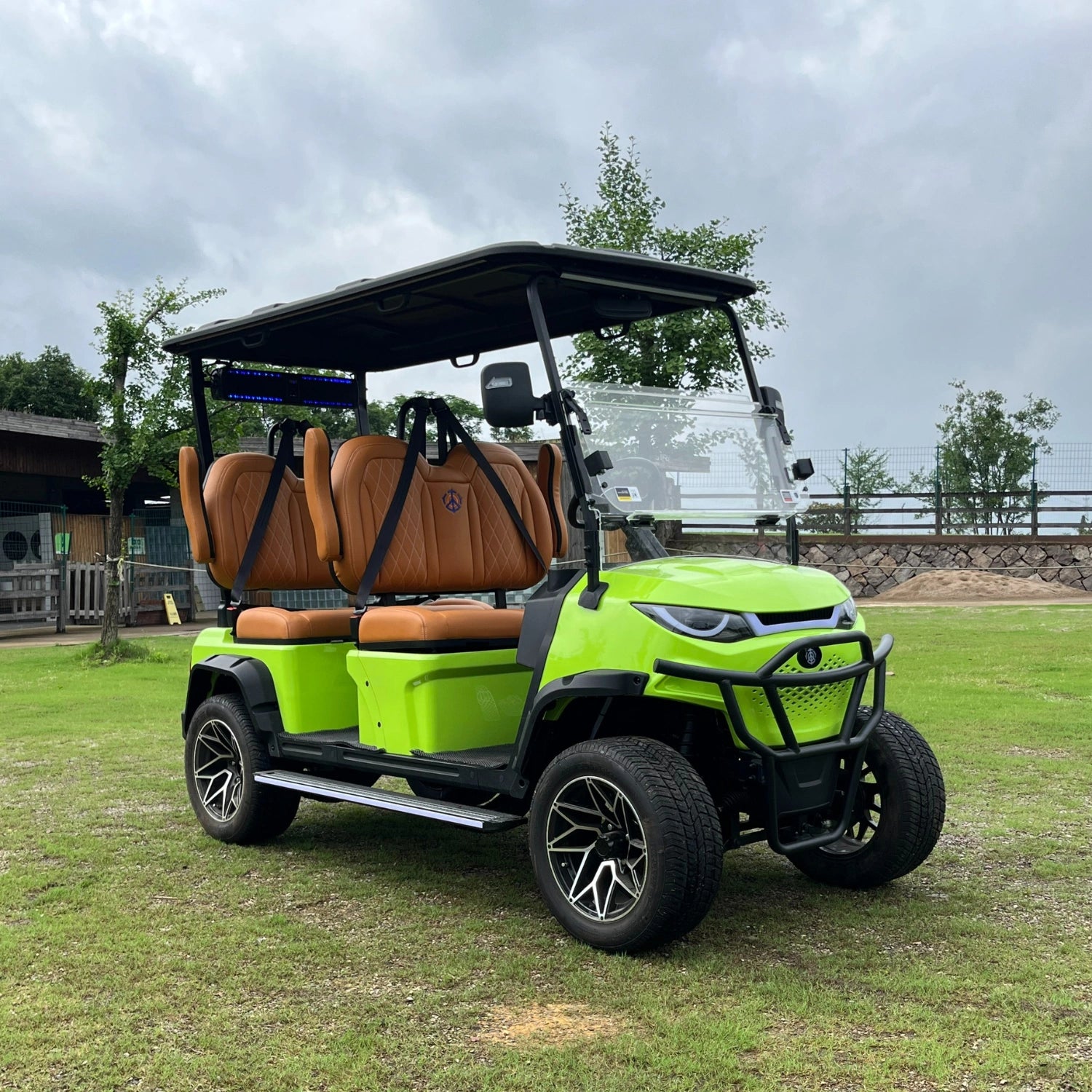 4-Seater Golf Cart limited Edition 2026