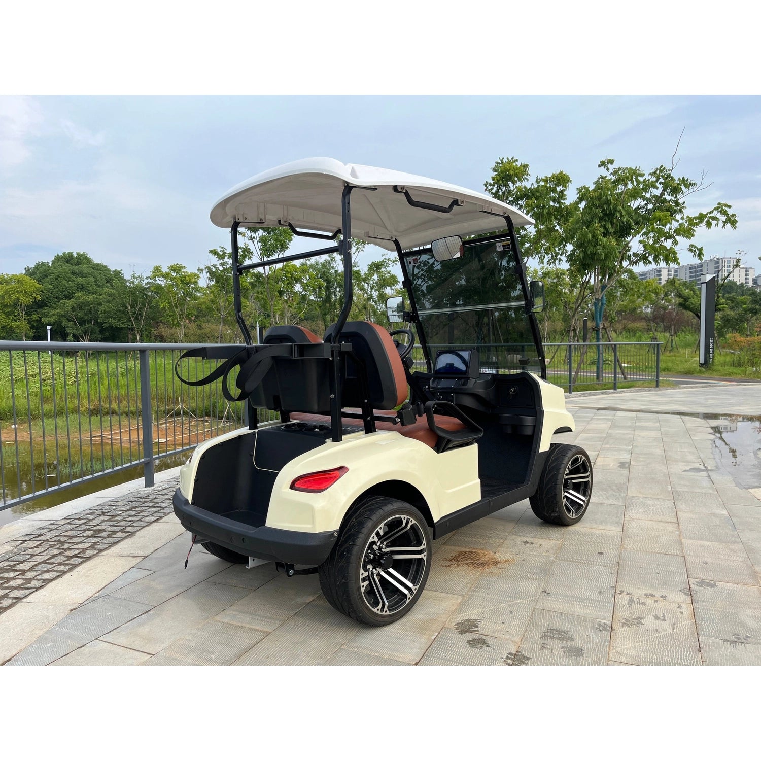 2-Seater Electric Golf Cart