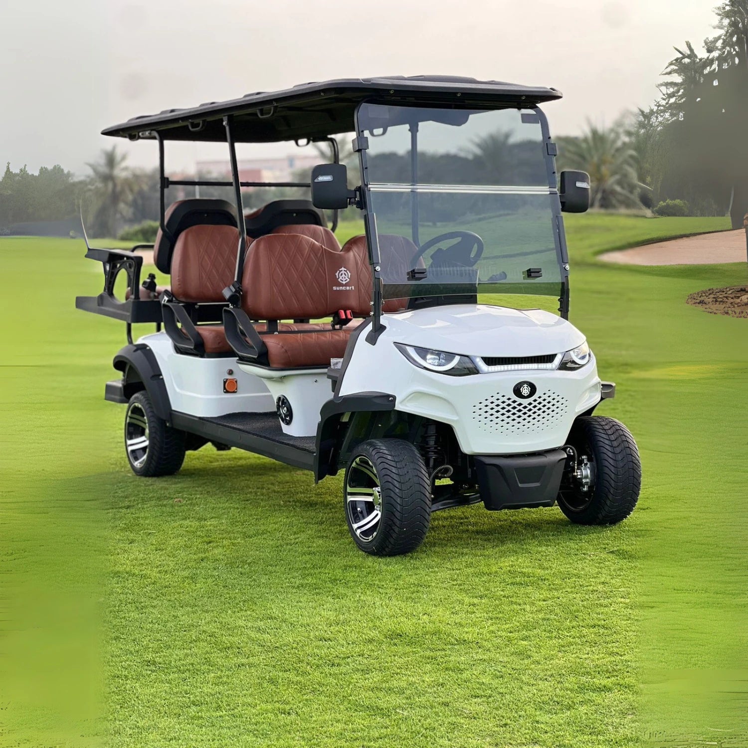 4+2 Golf Cart MXV