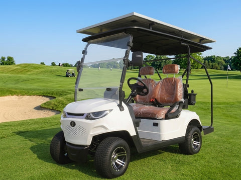 2+0 Seater Golf Cart
