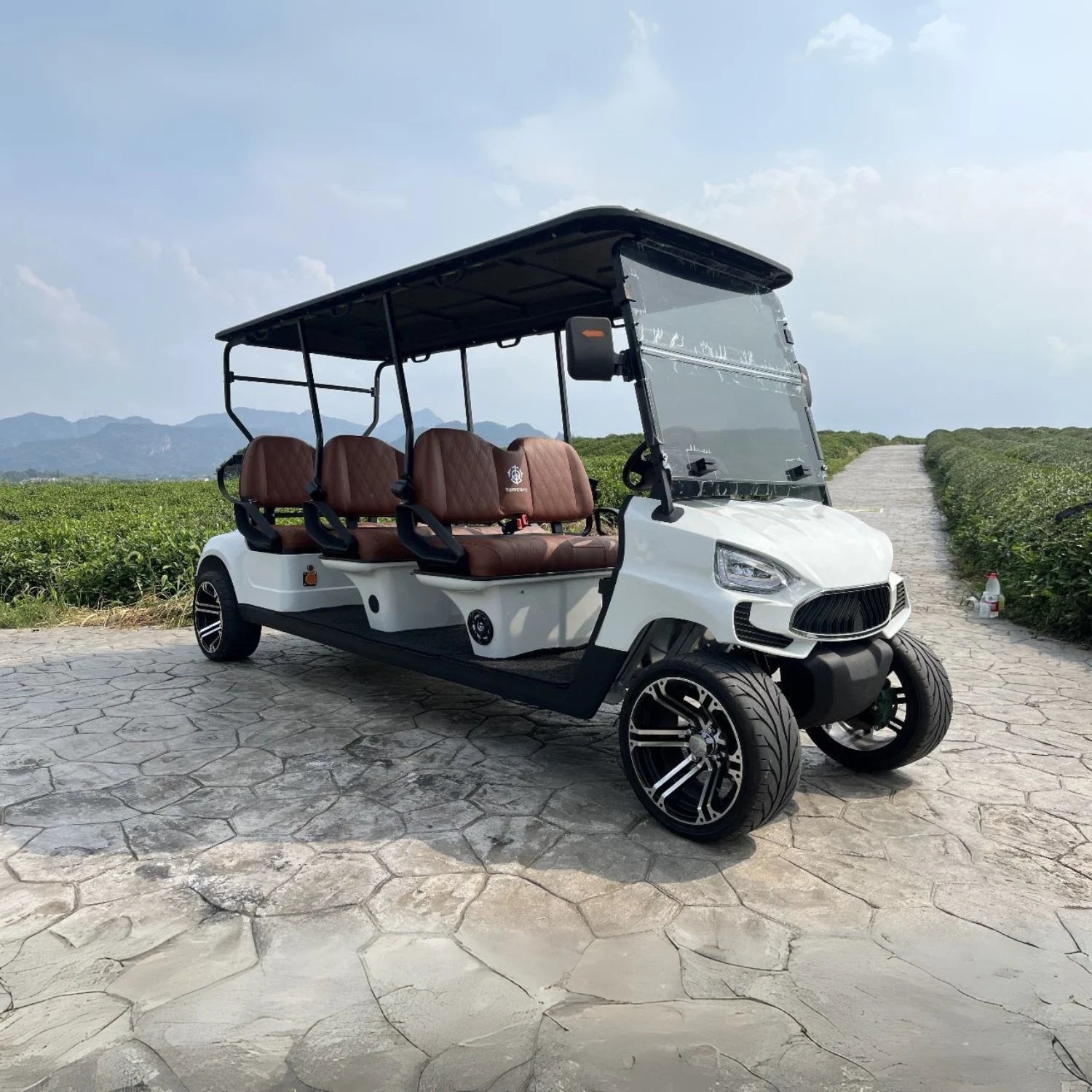 6 Seater Golf Cart TXV6+0